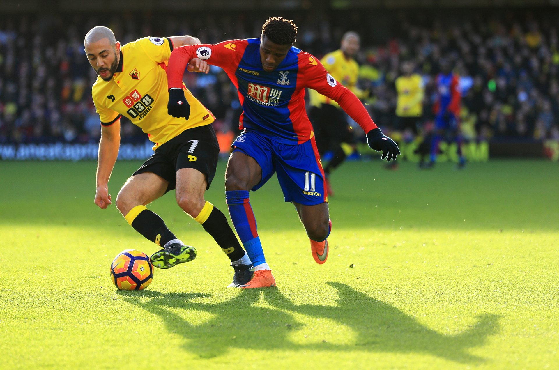 取得骄人的 取得骄人的