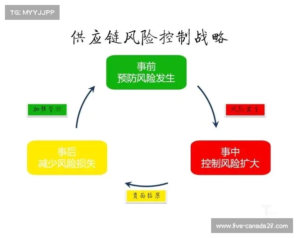足球转会市场风险管理策略研究与应对措施分析